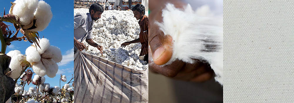 Cotton Processing